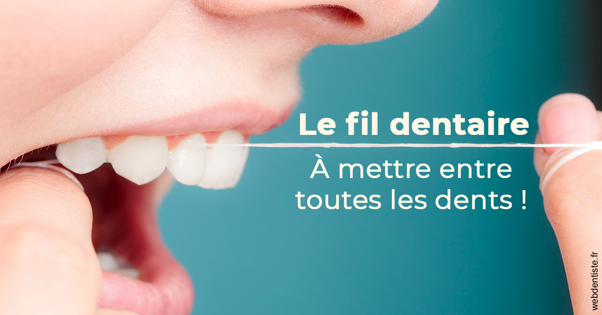 https://dr-janvier-guillemette.chirurgiens-dentistes.fr/Le fil dentaire 2