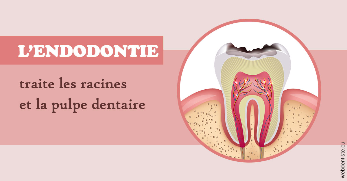 https://dr-janvier-guillemette.chirurgiens-dentistes.fr/L'endodontie 2