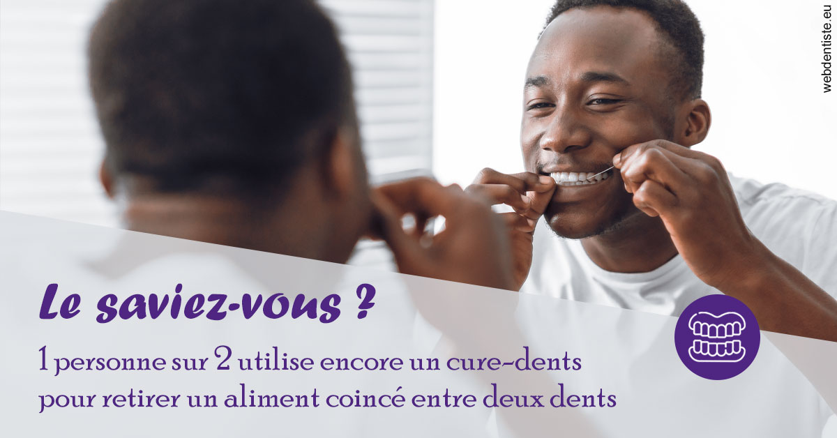 https://dr-janvier-guillemette.chirurgiens-dentistes.fr/Cure-dents 2