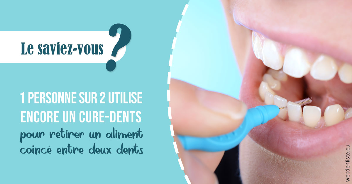 https://dr-janvier-guillemette.chirurgiens-dentistes.fr/Cure-dents 1